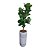 46753001 A.FICUS LYRATA REAL TOQUE X72 (VERDE) 1,2m COM VASO 55CM - Imagem 1