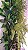 Peg & Leve Jardim Vertical Artificial Modelo Classic 2,4m de Altura - Imagem 4