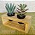 Porta Suculentas e Mini Cactos em Madeira Pinus c/2 - Cor Natural - Imagem 2