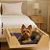 Cama Pet Suspensa p/ Cama Box (Média) - Imagem 3