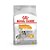 Ração Royal Canin Cães Mini Adultos Coat Care 2,5kg - Imagem 1