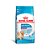 Ração Royal Canin Cães Mini Puppy Indoor - Imagem 1