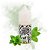 NicSalt - Born - Spearmint (30ml) - Imagem 2