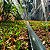 Mangueira Irrigação Santeno II Micro Perfurada Fruticultura 100m - Imagem 6