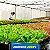 FILME TRANSPARENTE 100 MICRAS - 4X75 - Imagem 4