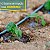 MANGUEIRA GOTEJAMENTO 1,5L/H 16MM 1BAR 3.000M DRIP PLAN - 40CM - Imagem 3