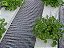Sombrite malha raschel branca para hortaliças e flores - Imagem 4