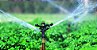 Aspersor Agropolo Mv360l 4,0 x 2,5 irrigador 2 bicos 1P - Imagem 4