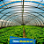 Filme Plástico Para Estufa Agrícola 120 Micras - 6x120 - Imagem 6