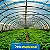 Filme Plástico Para Estufa Agrícola 120 Micras - 12x20 - Imagem 6