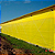 CORTINA AVIÁRIO AMARELA + Kit Instalação - 2,60X12 - Imagem 3