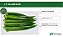 SEMENTE QUIABO SPEEDY 3.000 SEMENTES - HORTICERES - Imagem 5