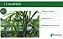 SEMENTE QUIABO SPEEDY 3.000 SEMENTES - HORTICERES - Imagem 4