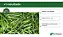 SEMENTE QUIABO SPEEDY 3.000 SEMENTES - HORTICERES - Imagem 6