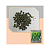 Sementes De Quiabo Super Precoce Apuim Isla 100g - Imagem 4