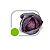 Sementes Repolho Roxo Murasaki 1000 Sementes - Imagem 3
