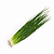 Cebolinha Japonesa Tokyo Kuro 300g Horticeres Ano Todo 3 pacotes - Imagem 3