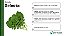 Semente Rucula Selecta Folha Larga 500g Horticeres 3 Pacotes - Imagem 3