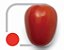Tomate Híbrido Dante 3000 Sementes – Alta Produtividade - Imagem 3
