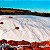 Lona Dupla Face Para Silagem 8x5m 200 Micras Resistente - Imagem 6
