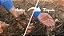 Fita De Irrigação Gotejamento 2000m 30cm Ecodrip + Wtr 700 5l Manutenção - Imagem 6