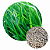 Brachiaria Decumbens Incrustada 10Kg BRA Pastagens e Forragens 3 Unid. - Imagem 3