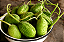 Sementes 20g Maxixe Isla para Horta Caseira - Cultivo Fácil - Imagem 4