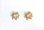 Brinco Flor Pétalas C/Zircônias Coloridas - Imagem 1
