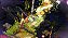 Bastion XBOX ONE Código de Resgate 25 Dígitos - Imagem 3