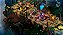 Bastion XBOX ONE Código de Resgate 25 Dígitos - Imagem 2