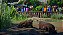 Planet Zoo: Edição Deluxe XBOX ONE Código de Resgate 25 Dígitos - Imagem 3