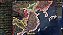 Hearts of Iron IV: Starter Edition - Steam Código de Resgate digital - Imagem 4