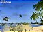 Joint Operations: Combined Arms Gold - Steam CD Key - Imagem 3