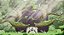Hoa - Steam CD Key - Imagem 3