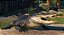 Planet Zoo - North America Animal Pack DLC - Steam CD Key - Imagem 2