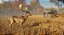 theHunter: Call of the Wild - Tents & Ground Blinds DLC - Steam CD Key - Imagem 3