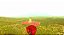 Golden Light - Steam CD Key - Imagem 2