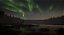 theHunter: Call of the Wild - Revontuli Coast DLC - Steam CD Key - Imagem 3