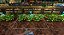 Cafe Owner Simulator - Farm DLC - Steam CD Key - Imagem 2