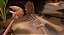 Another Fisherman's Tale 2 - Steam CD Key - Imagem 3