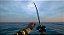 Ultimate Fishing Simulator - Steam CD Key - Imagem 2