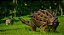 Jurassic World Evolution - Claire's Sanctuary DLC - Steam CD Key - Imagem 2
