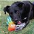 Brinquedo para Cães Kong Shieldz Tropics Frog Medium (RST21) - Imagem 4