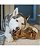 Brinquedo para Cães Benebone Dental Chew Frango - Imagem 4