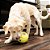 Brinquedo Kong para Cães Rewards Tennis Large (PEP13) - Imagem 4