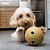 Brinquedo para Cães Kong Bamboo Feeder Ball Medium (PTB21) - Imagem 3