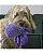 Brinquedo para Cães Kong Cuteseas Rufflez Octopus Medium (RLR22) - Imagem 4