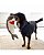 Brinquedo para Cães Kong Cutseas Rufflez Shark Medium/Large (RLR11) - Imagem 4