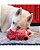 Brinquedo para Cães Kong Pupsqueaks Daisy Medium (PUSQ22) - Imagem 4