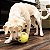 Brinquedo para Cães Kong Rewards Tennis Small (PEP33) - Imagem 4